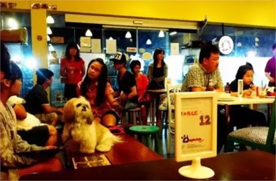 萌寵主題餐廳—DoggiestyleCafé