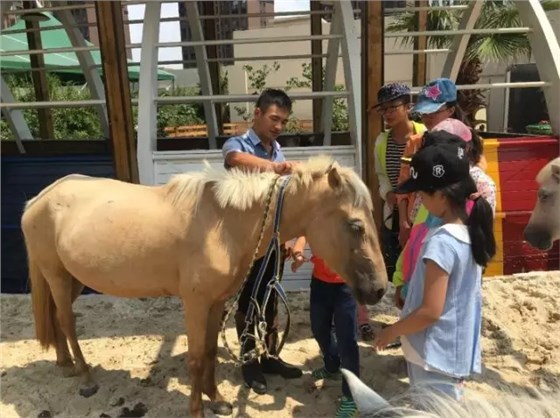 昆明愛琴海購物公園：全國首個屋頂馬場