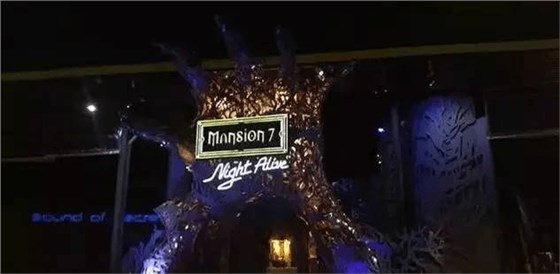 Mansion 7