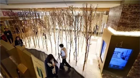 SCENE DISPLAY