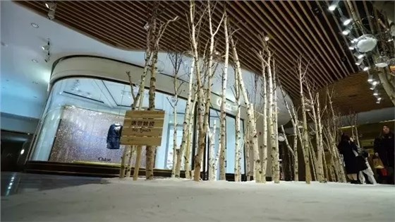 SCENE DISPLAY