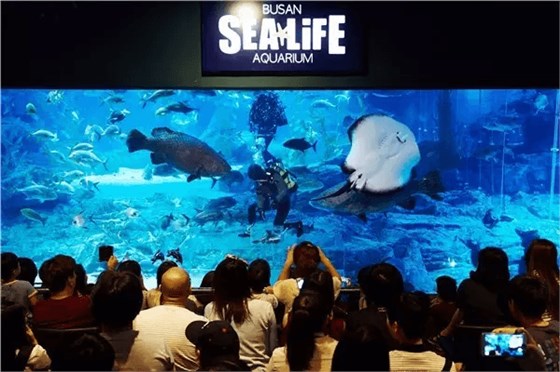 重慶長嘉匯購物公園中國首家SEA LIFE海洋探索中心